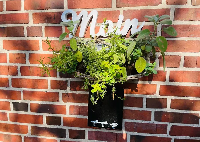 Vakantiehuis Strandlaeufer Osterhever