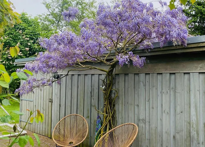 Strandlaeufer Osterhever