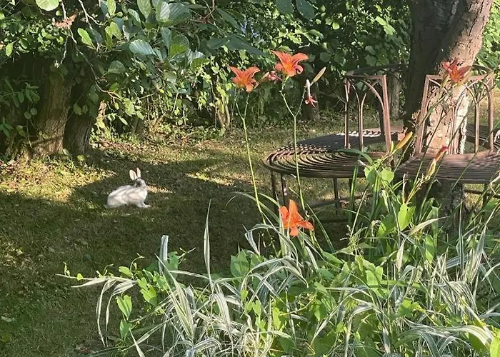 Strandlaeufer Vakantiehuis Osterhever