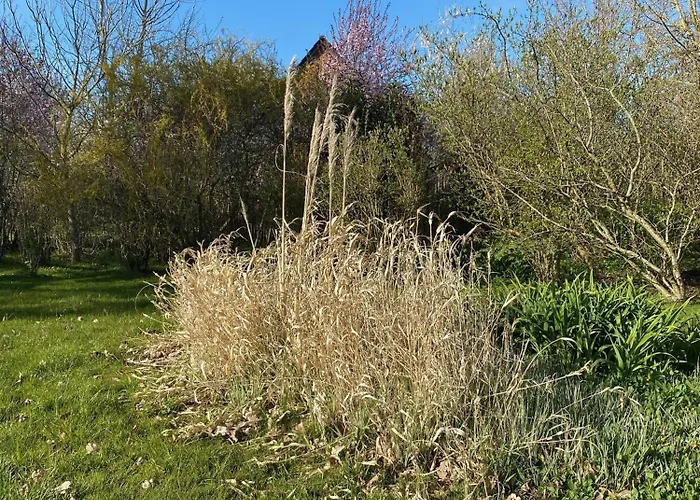 Strandlaeufer Vakantiehuis *