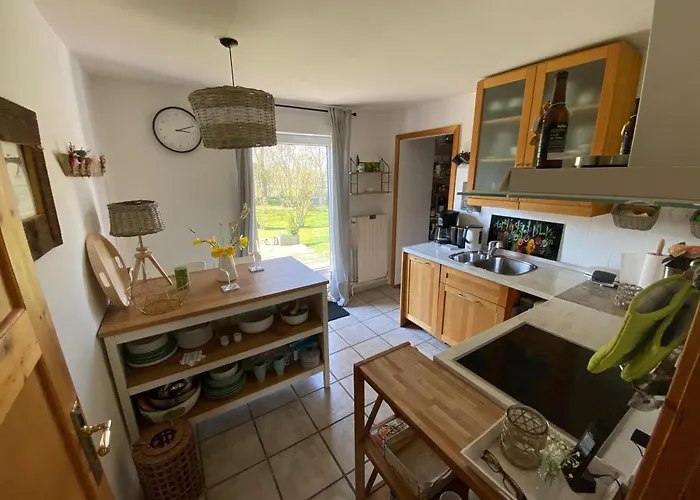 Strandlaeufer * Osterhever